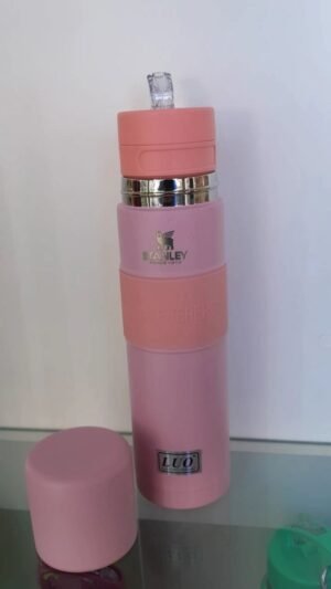 WhatsApp Image 2025-09-20 at 4.26.54 PM (2) MATE LISTO STANLEY COLORES