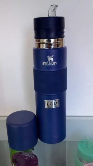 WhatsApp Image 2025-09-20 at 4.26.55 PM (1) MATE LISTO STANLEY COLORES