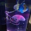 WhatsApp Image 2025-10-14 at 7.05.42 PM (2) LAMPARA ACUARIO JELLIFYFISH MOOD LAMP