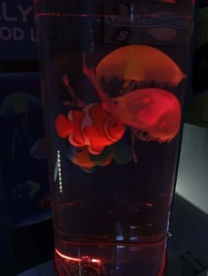 WhatsApp Image 2025-10-14 at 7.05.47 PM LAMPARA ACUARIO JELLIFYFISH MOOD LAMP