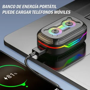 AURICULARES INALAMBRICOS DX-10