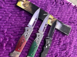 WhatsApp Image 2026-03-30 at 12.06.14 PM CUCHILLOS KNIVES GAUBURG FRUIT KNIFE